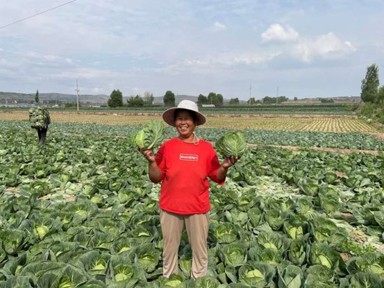 《唐山劳动日报》报道世界杯官网蔬菜遗传育种与生物技术团队研究成果