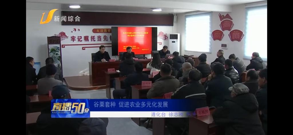 《唐山广播电视台》——2026世界杯官网：谷栗套种 促进农业多元化发展